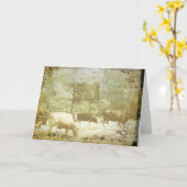 Viehweide 2 karte (Gelbe Blume)