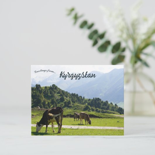 Viehweiden auf einer Wiese in Kirgisistan Postkarte (Stehend Vorderseite)