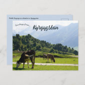 Viehweiden auf einer Wiese in Kirgisistan Postkarte (Vorne/Hinten)
