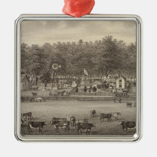 Viehzucht an der Riverside, NE von Concordia, Kans Silbernes Ornament