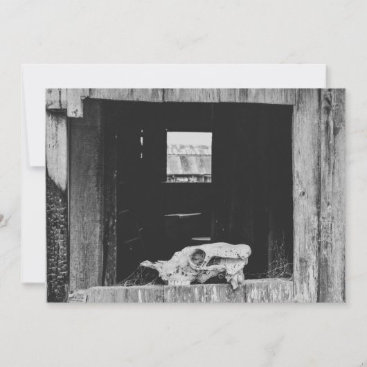 Viehzucht Feiertagskarte (Vorderseite)