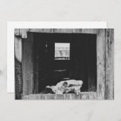 Viehzucht Feiertagskarte (Vorne/Hinten)