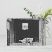 Viehzucht Feiertagskarte (Stehend Vorderseite)