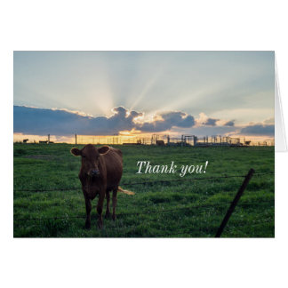 Viehzucht Sonnenuntergang Danke Karte
