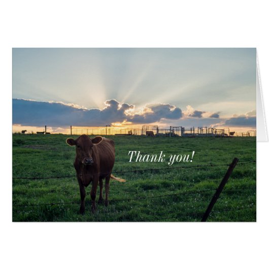 Viehzucht Sonnenuntergang Danke Karte (Vorderseite (Horizontal))