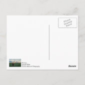 Viehzucht Sunset Postkarte (Rückseite)