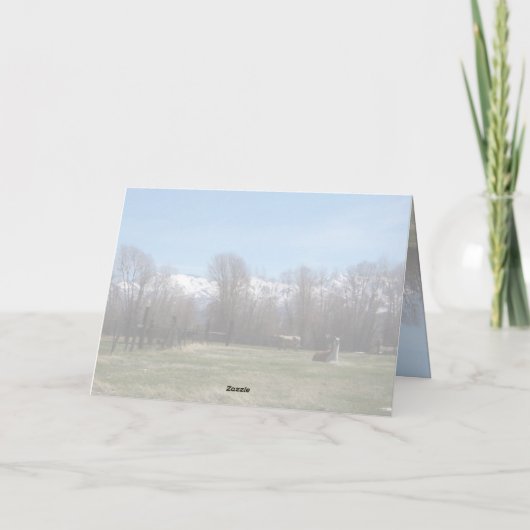 Viehzucht und Ruby Dankeskarte (Rückseite)