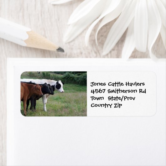 Viehzuchtbetrieb oder Ranch-Aufkleber (Insitu)