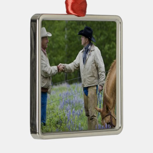 Viehzüchter, die Hände über herein fechten rütteln Silbernes Ornament (Rechts)