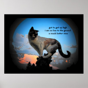 Viel besser Blick Katze Haiku Poster