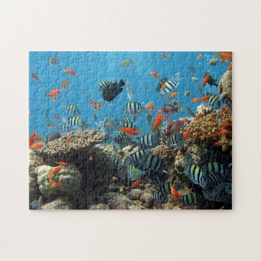 Viel Fisch und Korallen Puzzle (Horizontal)