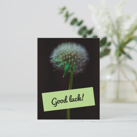 viel Glück Dandelion Postkarte (Stehend Vorderseite)