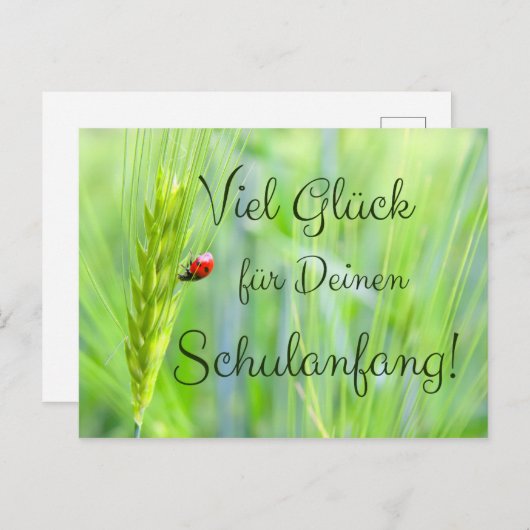 Viel Glück für Deinen Schulanfang! Postkarte (Vorne/Hinten)