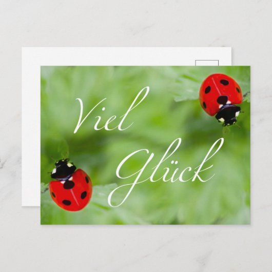 Viel Glück im Doppelpack! Postkarte (Vorne/Hinten)