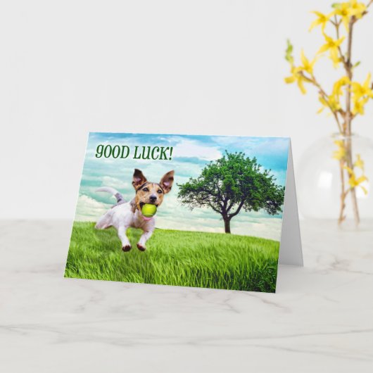 Viel Glück Jack Russel Terrier Playing Fetch Karte (Gelbe Blume)