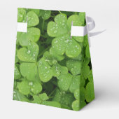 Viel Glück-Kleeblattverpackung Geschenkschachtel (Rückseite)
