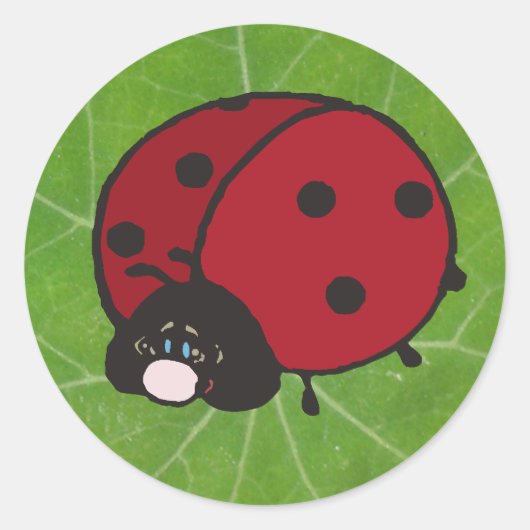 viel Glück-Lady-Bug Runder Aufkleber (Vorderseite)