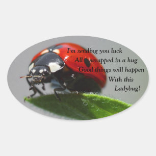 Viel Glück Ladybug Oval Stickers