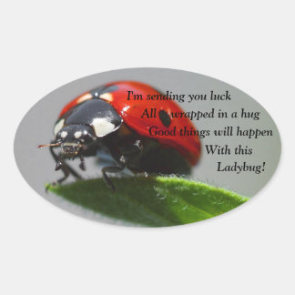 Viel Glück Ladybug Oval Stickers