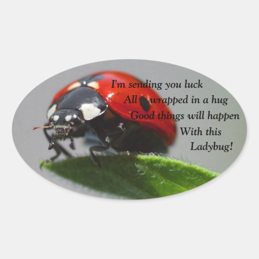 Viel Glück Ladybug Oval Stickers (Vorderseite)