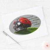 Viel Glück Ladybug Oval Stickers (Umschlag)