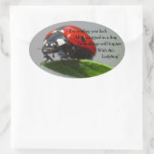 Viel Glück Ladybug Oval Stickers (Tasche)