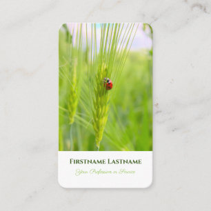 Viel Glück ladybug positive psychische Gesundheit  Visitenkarte