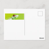 Viel Glück mit einem kleinen Ladybug! Postkarte (Rückseite)
