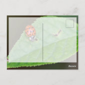 Viel Glück mit niedlichem kleinen Ladybug! Postkar Postkarte (Rückseite)
