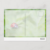 Viel Glück mit niedlichem kleinen Ladybug! Postkar Postkarte (Rückseite)