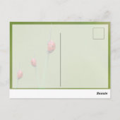 Viel Glück mit niedlichen kleinen Ladybugs! Postkarte (Rückseite)