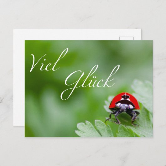 Viel Glück! Postkarte (Vorne/Hinten)
