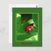 Viel Glück! Postkarte (Vorne/Hinten)