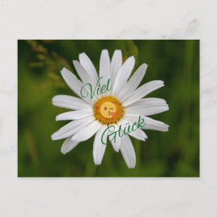 Viel Glück! Postkarte