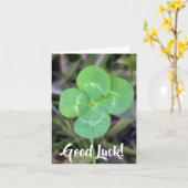 Viel Glück! vierblättriges Kleeblatt Karte (Gelbe Blume)