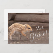 Viel Glück vom Glücksschwein Postkarte (Vorne/Hinten)