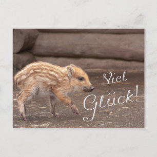 Viel Glück vom Glücksschwein Postkarte