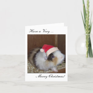 Viel Guinea Frohe Weihnachtskarte! Feiertagskarte