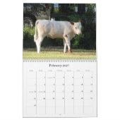 Viel Kühe und ein bisschen Bull Calendar Kalender (Feb 2027)