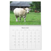 Viel Kühe und ein bisschen Bull zu Kalender (Mär 2026)