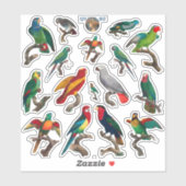 Viel Papageien farbenfrohe Vogelschutzschild Aufkleber (Blatt)