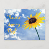 Viel Sonne! Postkarte (Vorderseite)