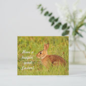 Viel Spaß an Ostern! Postkarte (Stehend Vorderseite)