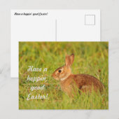Viel Spaß an Ostern! Postkarte (Vorne/Hinten)