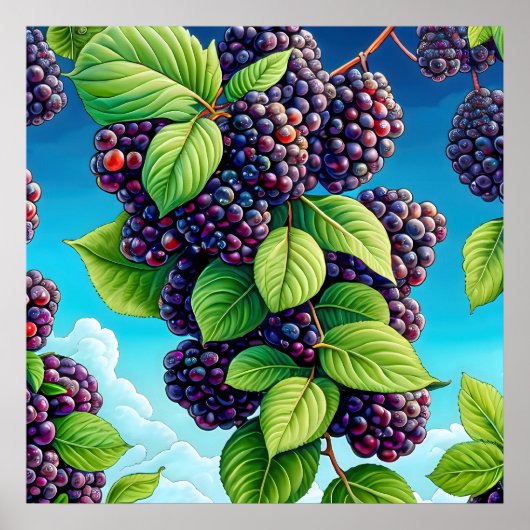 Viele BlackBerry-Obstmalereien. Poster (Vorne)