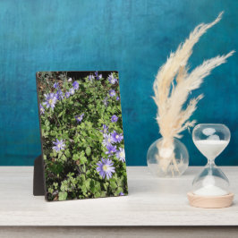 Viele Blume Fotoplatte