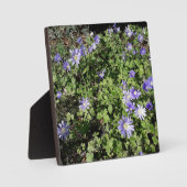 Viele Blume Fotoplatte (Vorderseite)