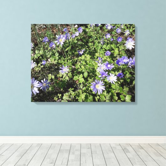 Viele Blume Leinwanddruck (Insitu (Holzboden))