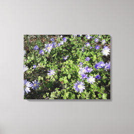 Viele Blume Leinwanddruck