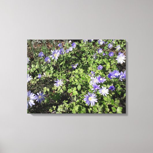 Viele Blume Leinwanddruck (Vorderseite)